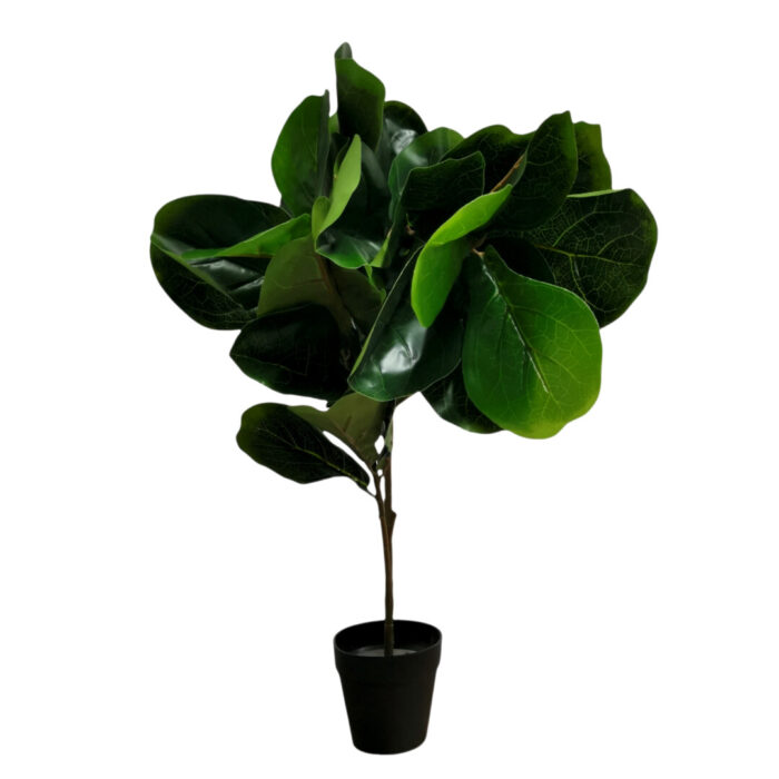 Faux Fig Tree Plant Faux Fig Tree Plant