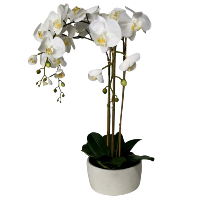 14-8.jpg 14-8.jpg