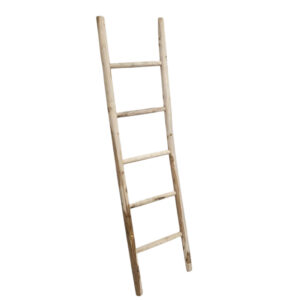 Teak Decorative Ladder