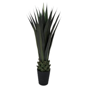 Modern home décor plant
