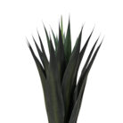 Designer faux plant