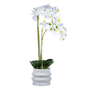 Faux Orchid in Ceramic Ripple Planter