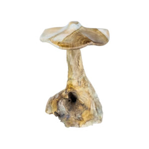 Organic Teak Mushroom Sculpture