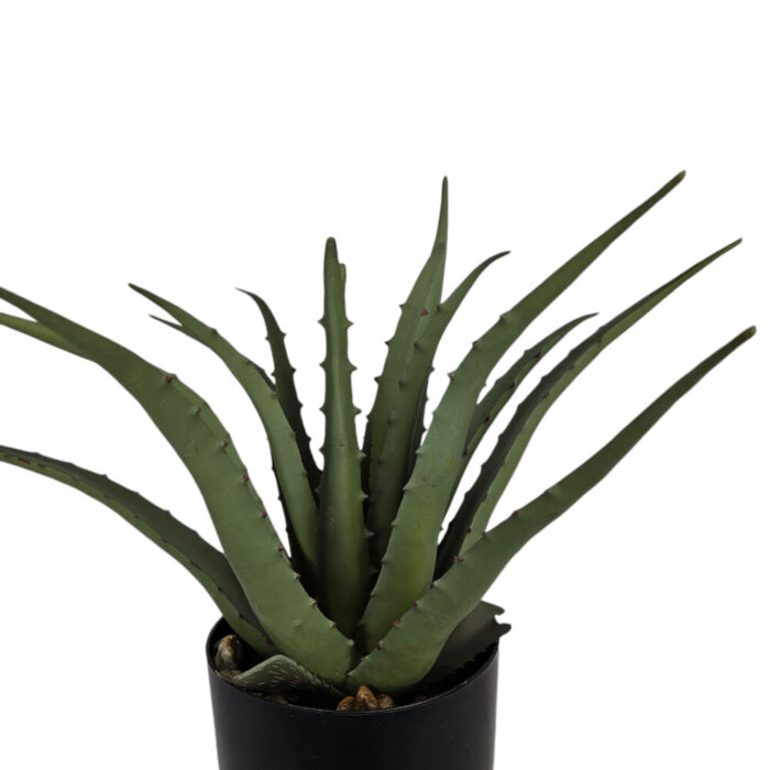 Aloe-Faux-Plant-In-Pot-Close-Up.jpg Aloe-Faux-Plant-In-Pot-Close-Up.jpg