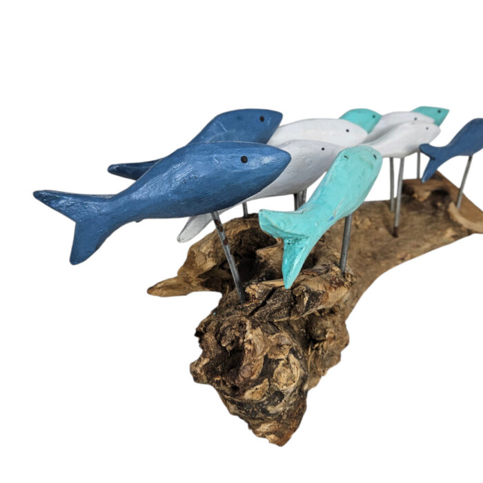 Blues-Fish-Swimming-On-Driftwood-Close-Up.jpg Blues-Fish-Swimming-On-Driftwood-Close-Up.jpg