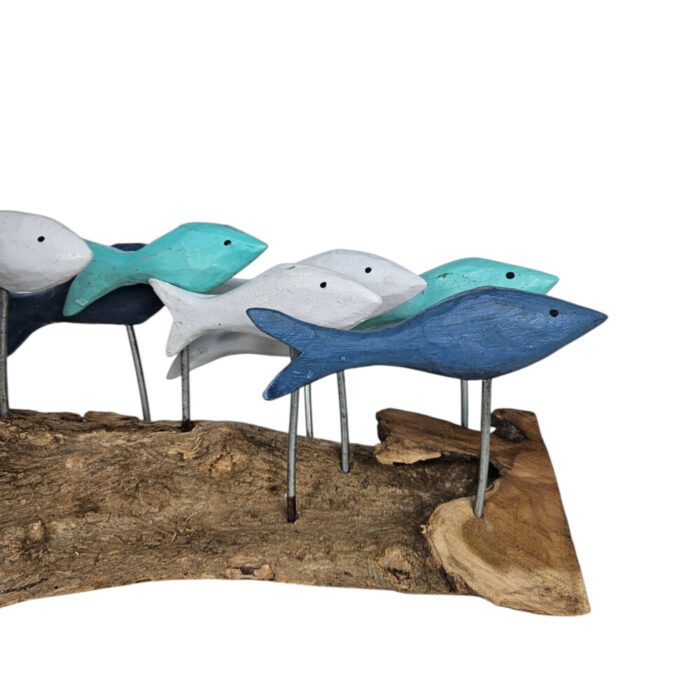 Blues-Fish-Swimming-On-Driftwood-Close-Up-Front.jpg Blues-Fish-Swimming-On-Driftwood-Close-Up-Front.jpg
