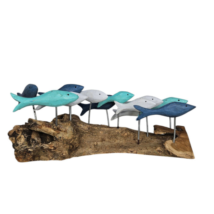 Blues-Fish-Swimming-On-Driftwood-Main.jpg Blues-Fish-Swimming-On-Driftwood-Main.jpg
