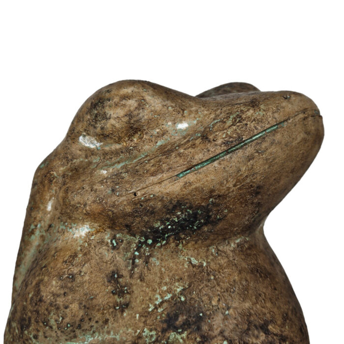 Brown-Frog-Sitting-Close-Up.jpg Brown-Frog-Sitting-Close-Up.jpg