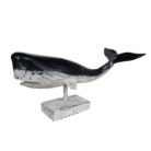 Carved-Whale-On-Stand-30cm-Main.jpg