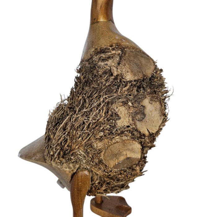 Decorative-Natural-Root-Duck-Side-Close-Up.jpg