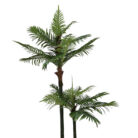 Faux-Areca-Palm-Tree-Front-Top.jpg