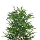 Faux-Bamboo-Luch-Green-Plant-Top.jpg
