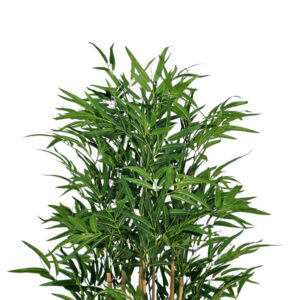 Faux-Bamboo-Luch-Green-Plant-Top.jpg