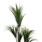 Faux-Dracaena-Plant-Close-Up.jpg