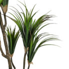 Faux-Dracaena-Plant-Close-Up-Branch.jpg