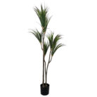 Faux-Dracaena-Plant-Front.jpg