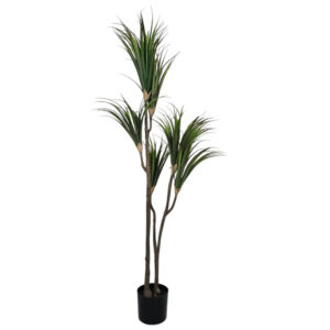 Faux Dracaena Tree