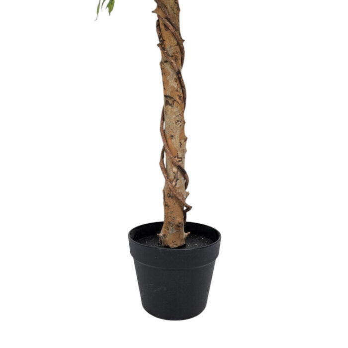 Faux-Ficus-Tree-Bottom.jpg Faux-Ficus-Tree-Bottom.jpg
