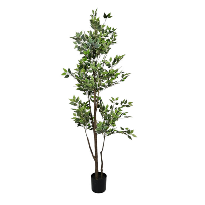 Faux-Ficus-Tree-Plant-Front.jpg Faux-Ficus-Tree-Plant-Front.jpg