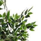Faux-Ficus-Tree-Plant-Leaf.jpg