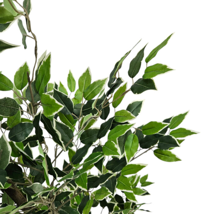Faux-Ficus-Tree-Plant-Leaf.jpg Faux-Ficus-Tree-Plant-Leaf.jpg