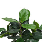 Faux-Fiddle-Leaf-Tree-Smaller-Close.jpg
