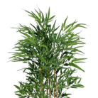 Faux-Large-Faux-Bamboo-Tree-Top.jpg