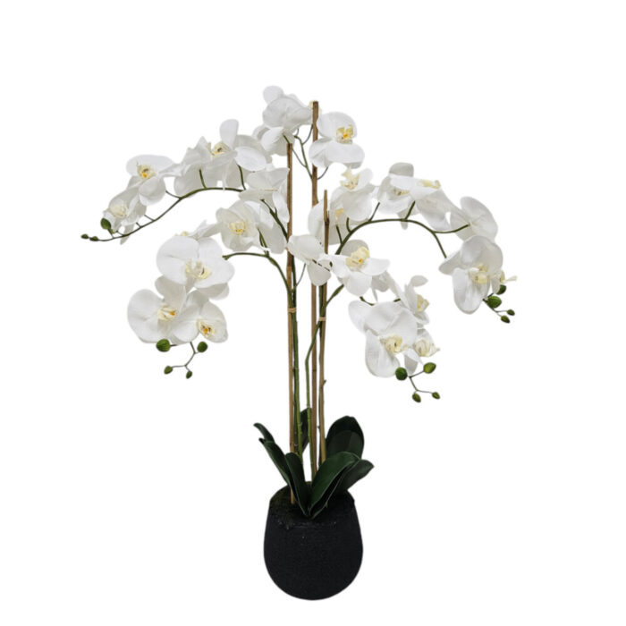 Faux-Large-White-Orchid.jpg Lifelike faux orchid décor