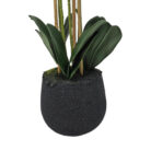 Faux-Large-White-Orchid-Close.jpg