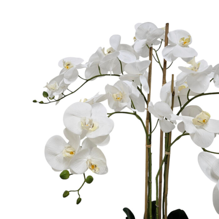 Faux-Large-White-Orchid-Close-Up.jpg Faux-Large-White-Orchid-Close-Up.jpg