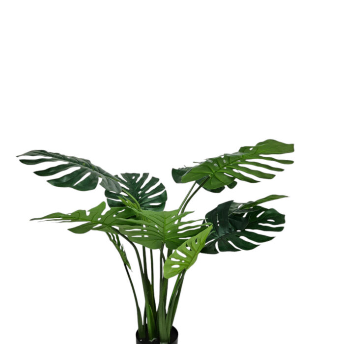 Faux-Monstera-Plant-Close-Up.jpg Faux-Monstera-Plant-Close-Up.jpg
