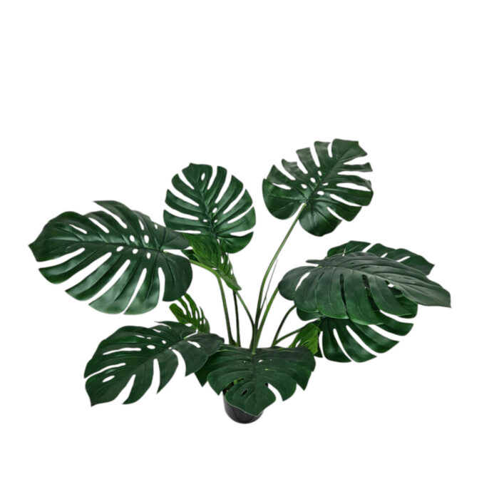 Faux-Monstera-Plant-Top.jpg Faux-Monstera-Plant-Top.jpg