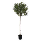 Faux-Olive-Tree.jpg