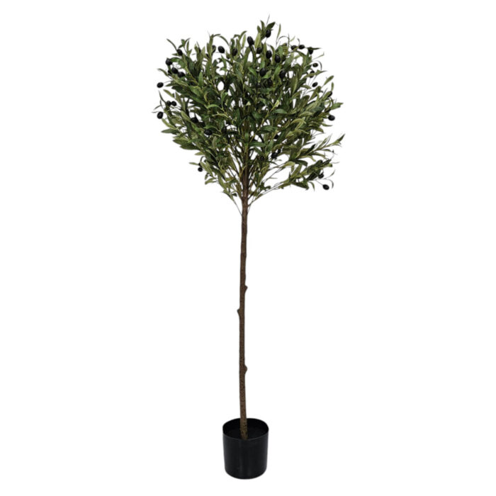Faux-Olive-Tree.jpg
