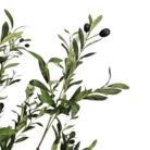 Faux-Olive-Tree-Plant-Close-2.jpg