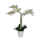 Faux-White-Orchid.jpg