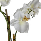 Faux-White-Orchid-Close-Up.jpg