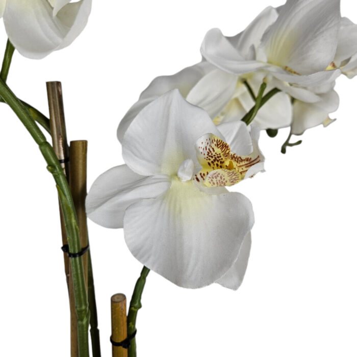 Faux-White-Orchid-Close-Up.jpg