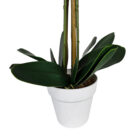 Faux-White-Orchid-Pot.jpg