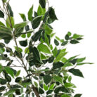 Ficus-Faux-Tree-Plant-Close.jpg