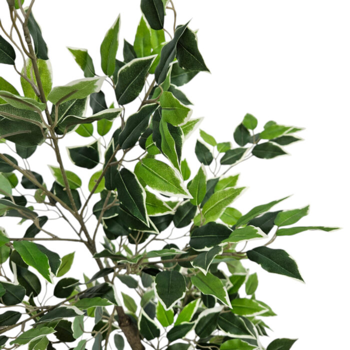 Ficus-Faux-Tree-Plant-Close.jpg Ficus-Faux-Tree-Plant-Close.jpg