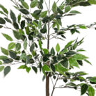 Ficus-Faux-Tree-Plant-Close-Up.jpg