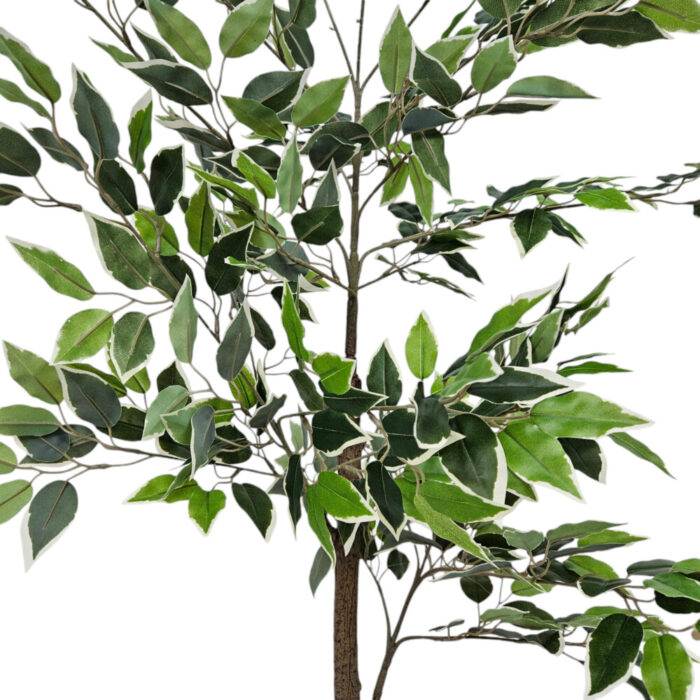 Ficus-Faux-Tree-Plant-Close-Up.jpg Ficus-Faux-Tree-Plant-Close-Up.jpg