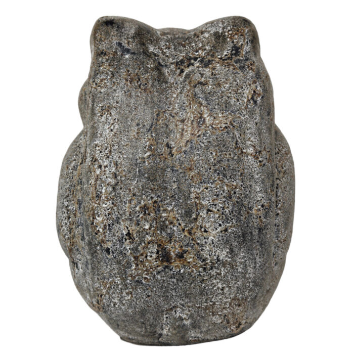 Grey-Frog-Sitting-Back.jpg Grey-Frog-Sitting-Back.jpg