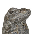 Grey-Frog-Sitting-Close-Up.jpg
