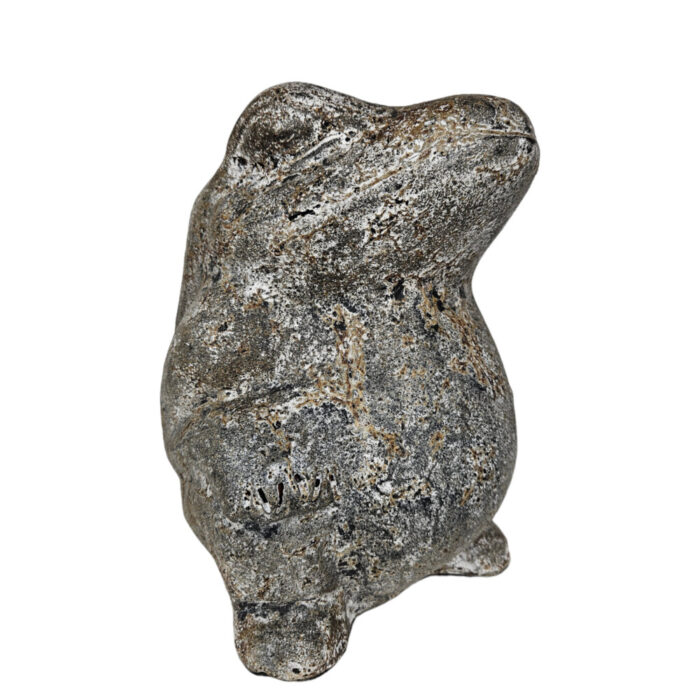 Grey-Frog-Sitting-Side.jpg Grey-Frog-Sitting-Side.jpg