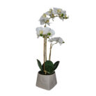 Faux White Orchid