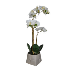 Faux White Orchid