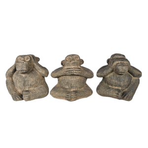 Monkey See Speak Hear No Evil