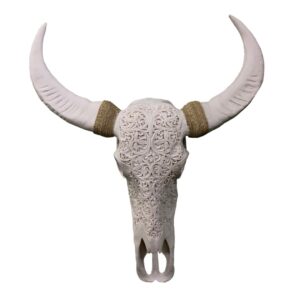 Carved Buffalo Skull Wall Hanging